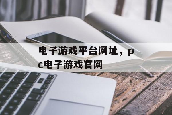 电子游戏平台网址，pc电子游戏官网